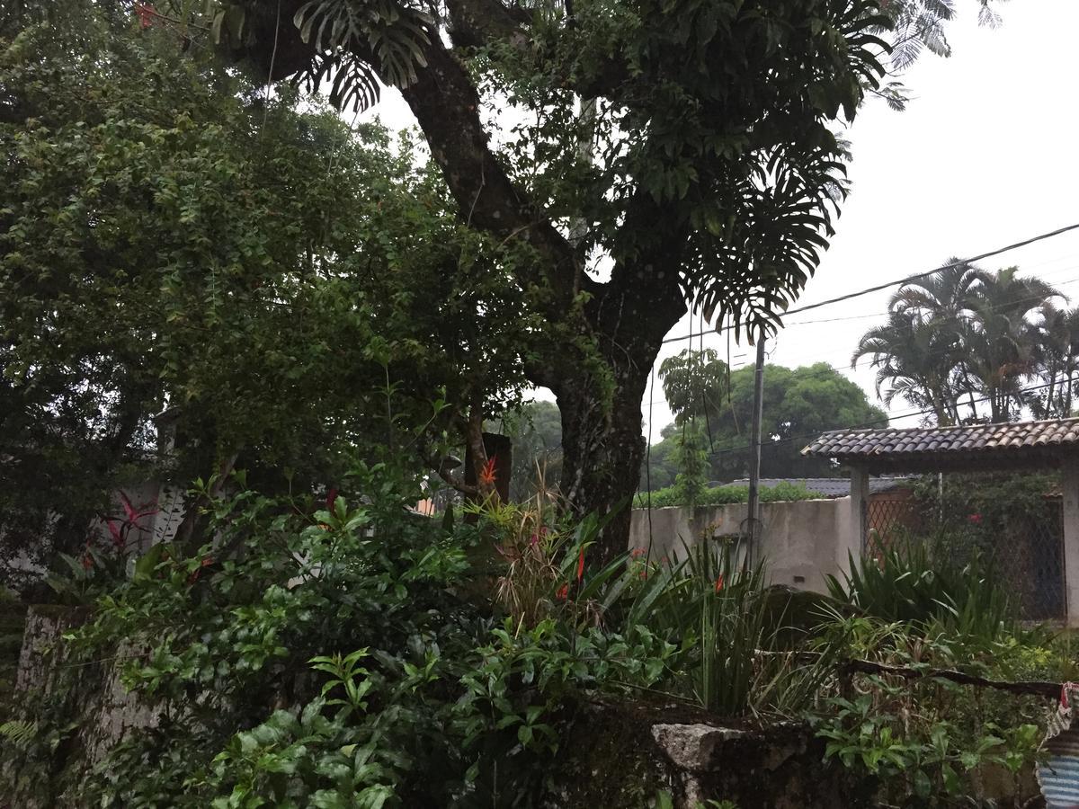 Hotel Da Ilha イリャベラ エクステリア 写真